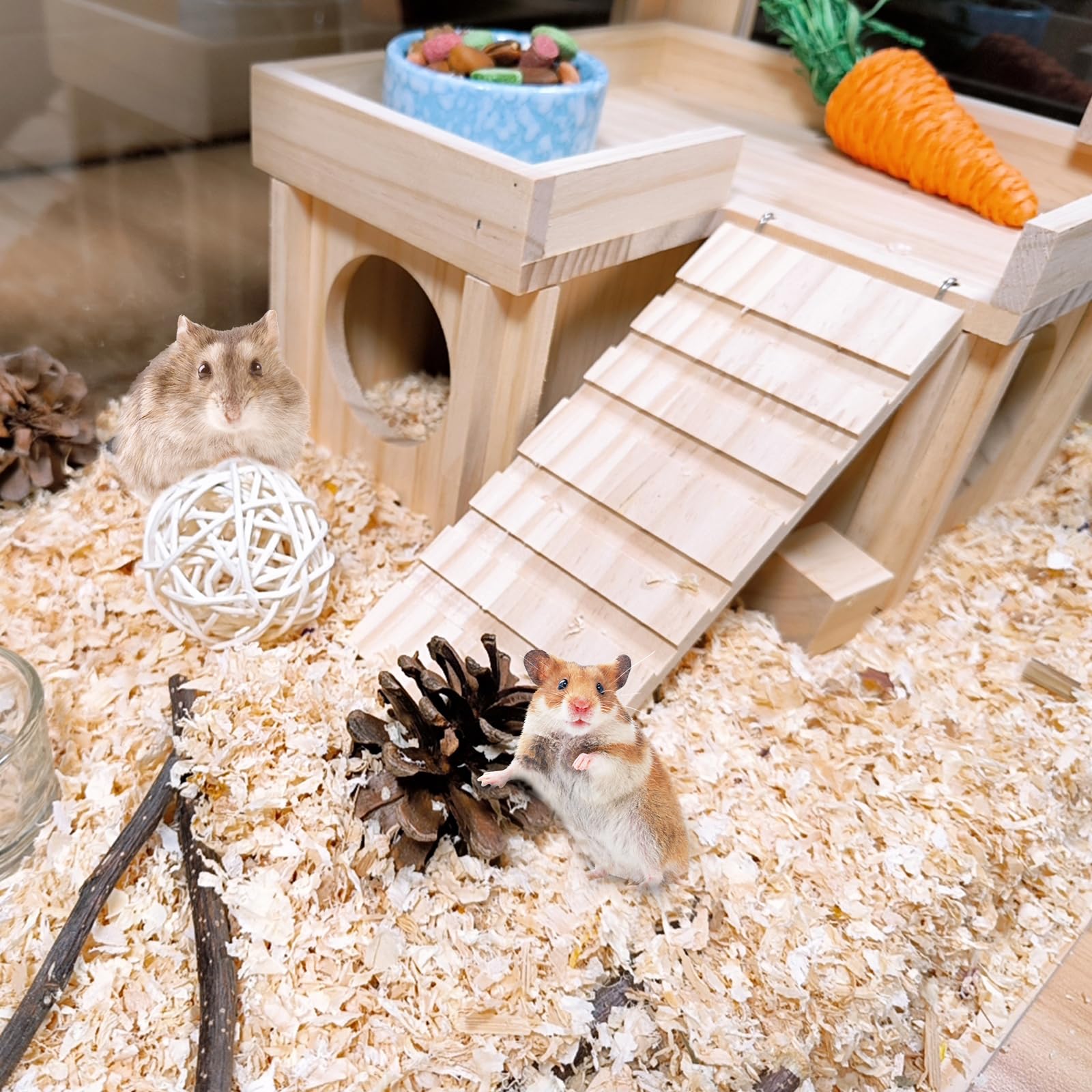 Acsist hamster house roof doubles as platform for play and rest.