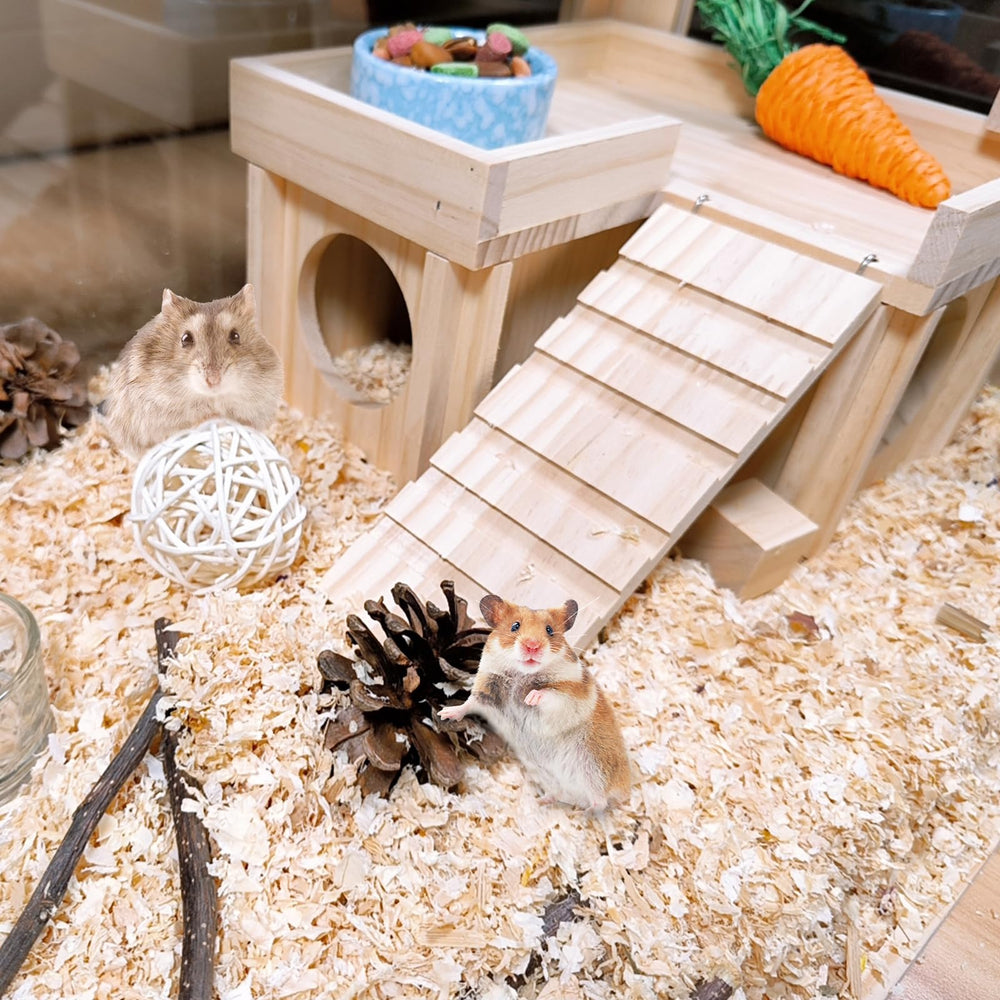 Acsist hamster house roof doubles as platform for play and rest.