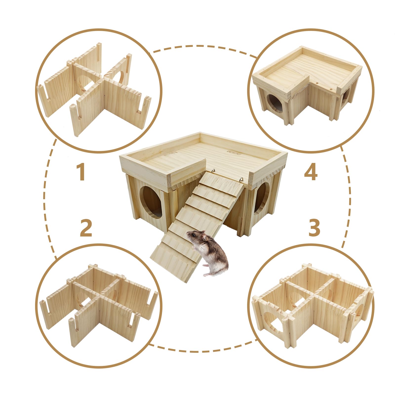 Acsist hamster playground interior; ladder and platform encourage activity.