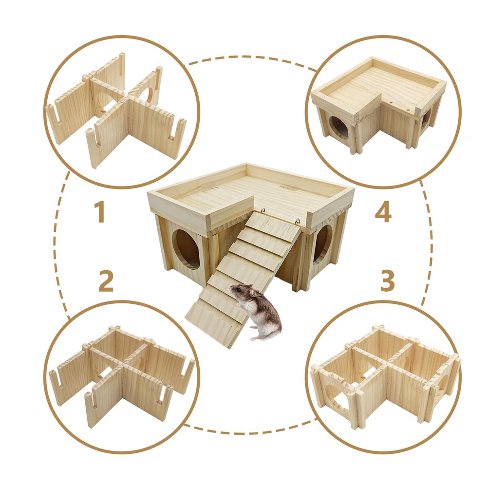 Acsist hamster playground interior; ladder and platform encourage activity.