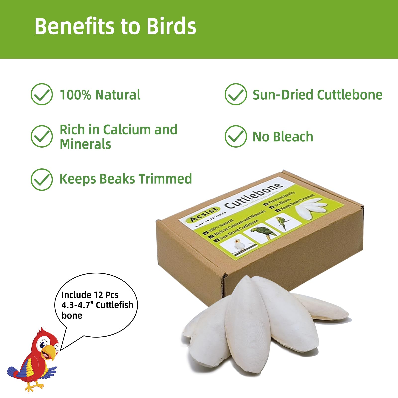 Acsist natural cuttlebone close-up highlights desalted, additive-free material for safe chewing.