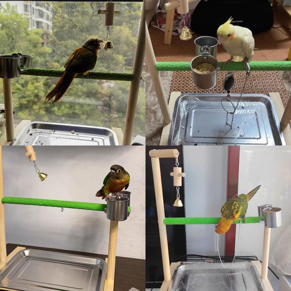 Acsist Parrot Stand features easy assembly for quick setup.