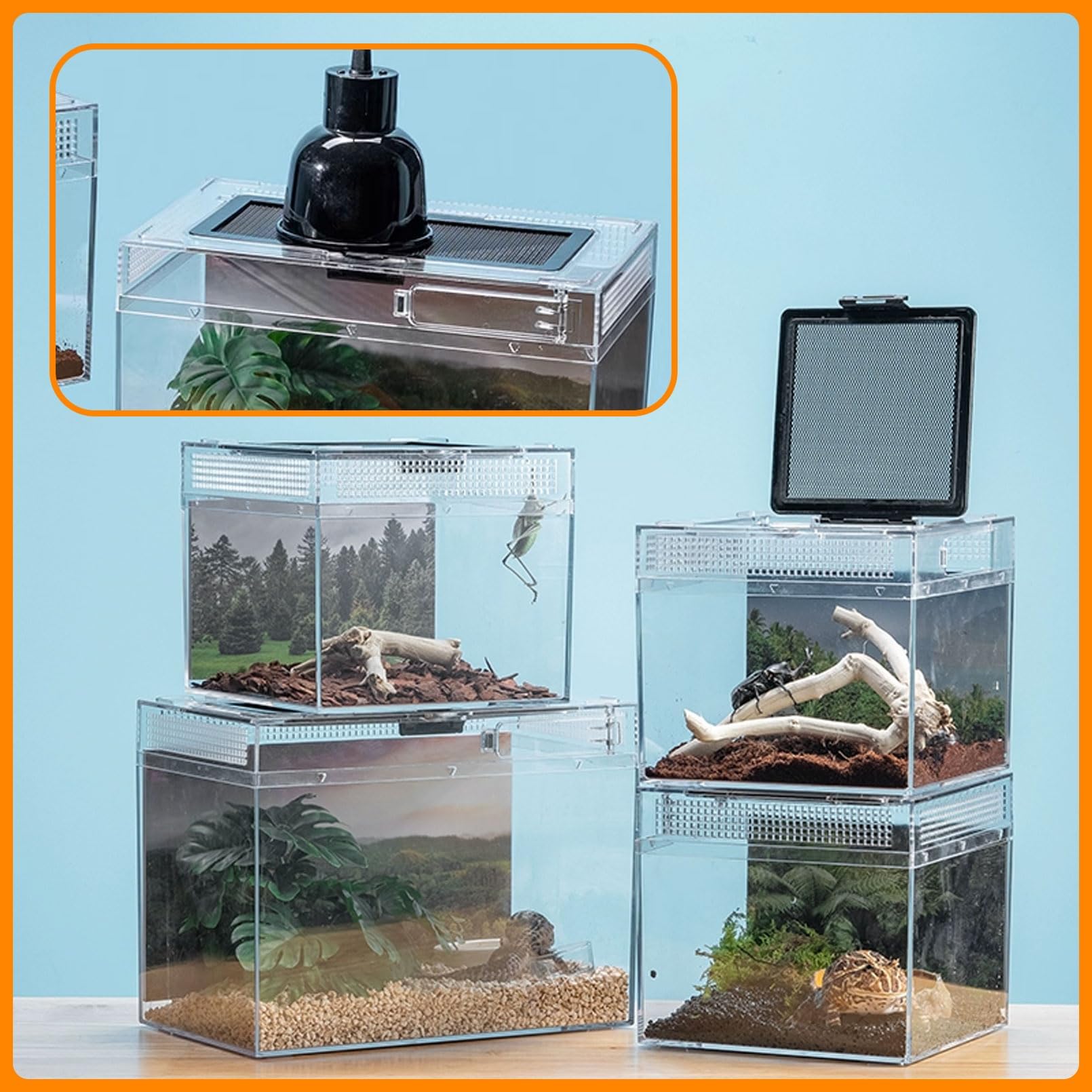 Acsist Reptile Terrarium compact size enhances versatility for small pets.