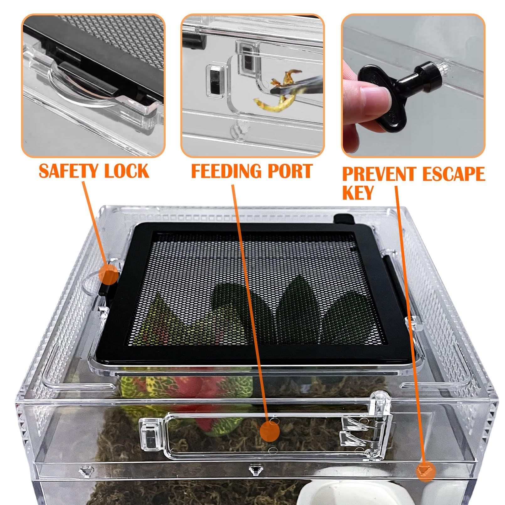 Acsist Reptile Terrarium durable PC walls ensure safety and clarity.