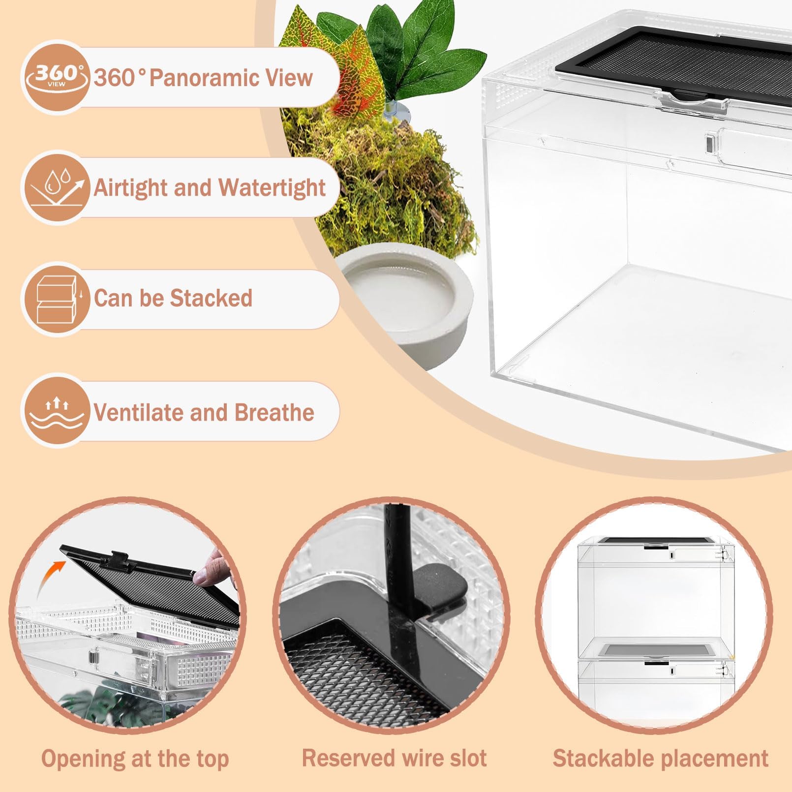 Acsist Reptile Terrarium feeding port enables easy feeding without opening lid.