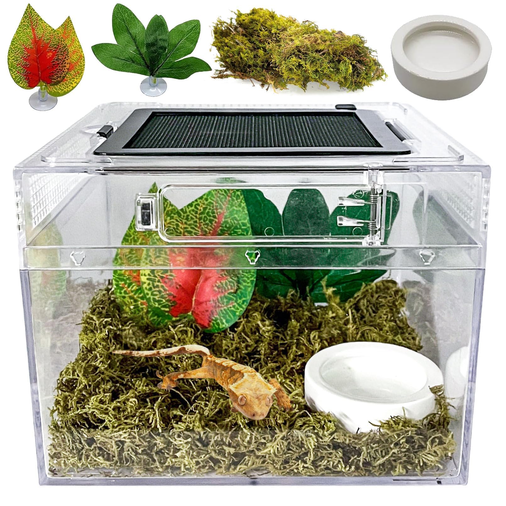 Acsist Reptile Terrarium front view for clear pet observation.