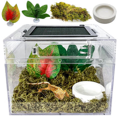 Acsist Reptile Terrarium front view for clear pet observation.