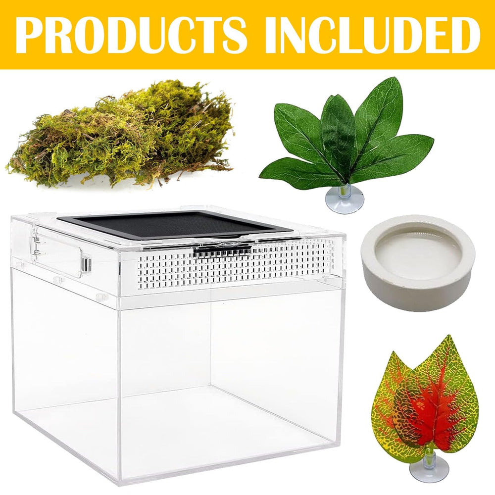 Acsist Reptile Terrarium leafy decors enrich the habitat visually.