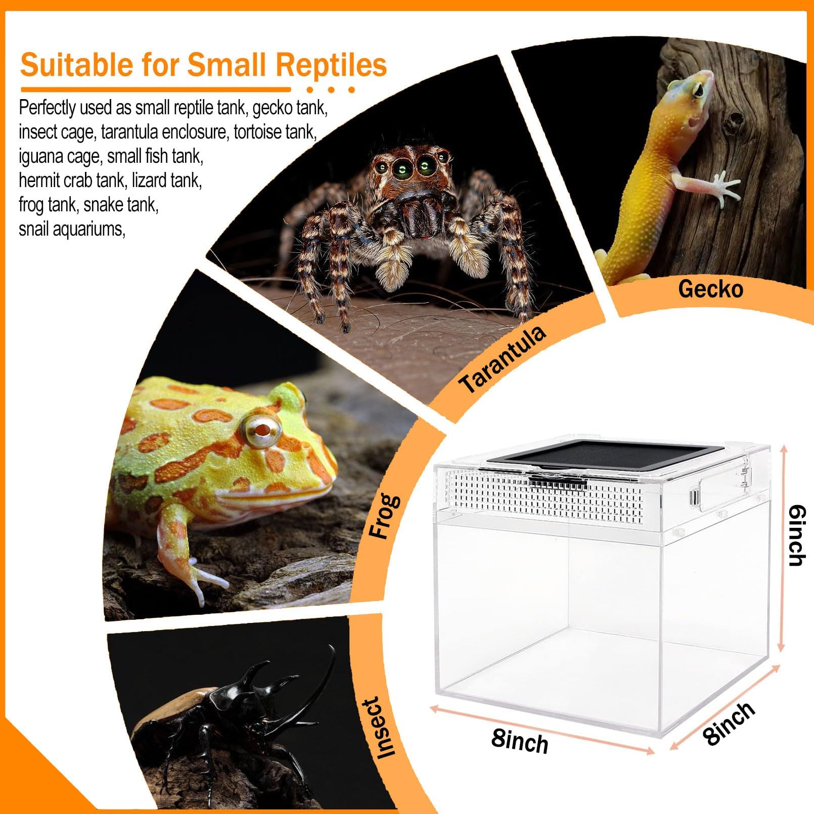 Acsist Reptile Terrarium moss substrate supports natural hiding and burrowing.
