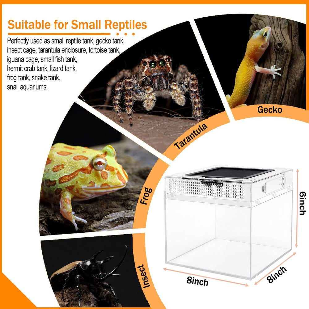 Acsist Reptile Terrarium moss substrate supports natural hiding and burrowing.