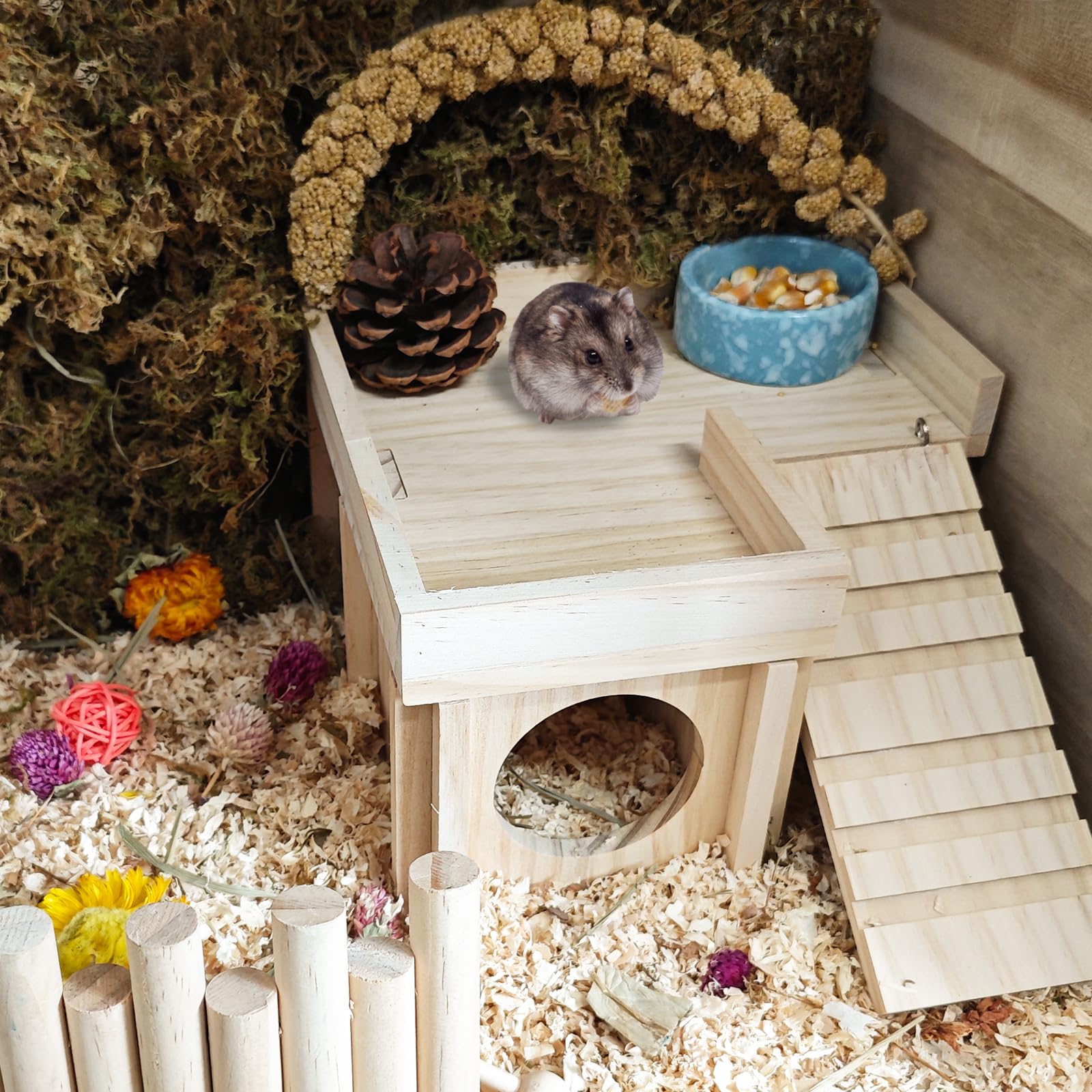 Acsist small pets cage accessory kit; versatile enrichment.