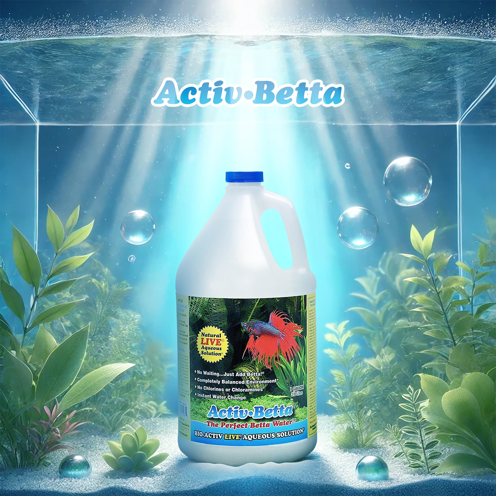 Activ Betta aquarium setup with Betta thriving in a stable, natural water.