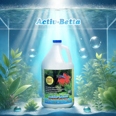 Activ Betta aquarium setup with Betta thriving in a stable, natural water.