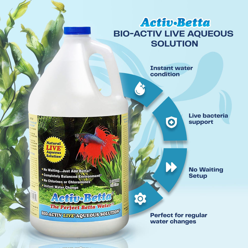 Activ Betta Bio-Activ Live Betta Water being poured into a tank for balanced start.
