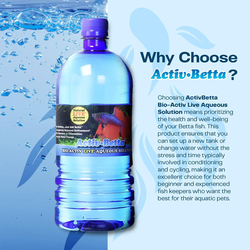 Activ Betta Water aquarium setup highlights clear water and ready-to-add fish.