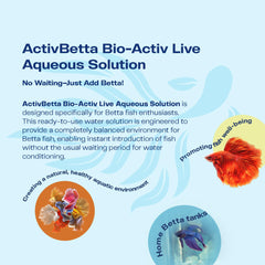 Activ Betta Water pack-two-bottles illustrates double-bottle convenience for ready conditioning.