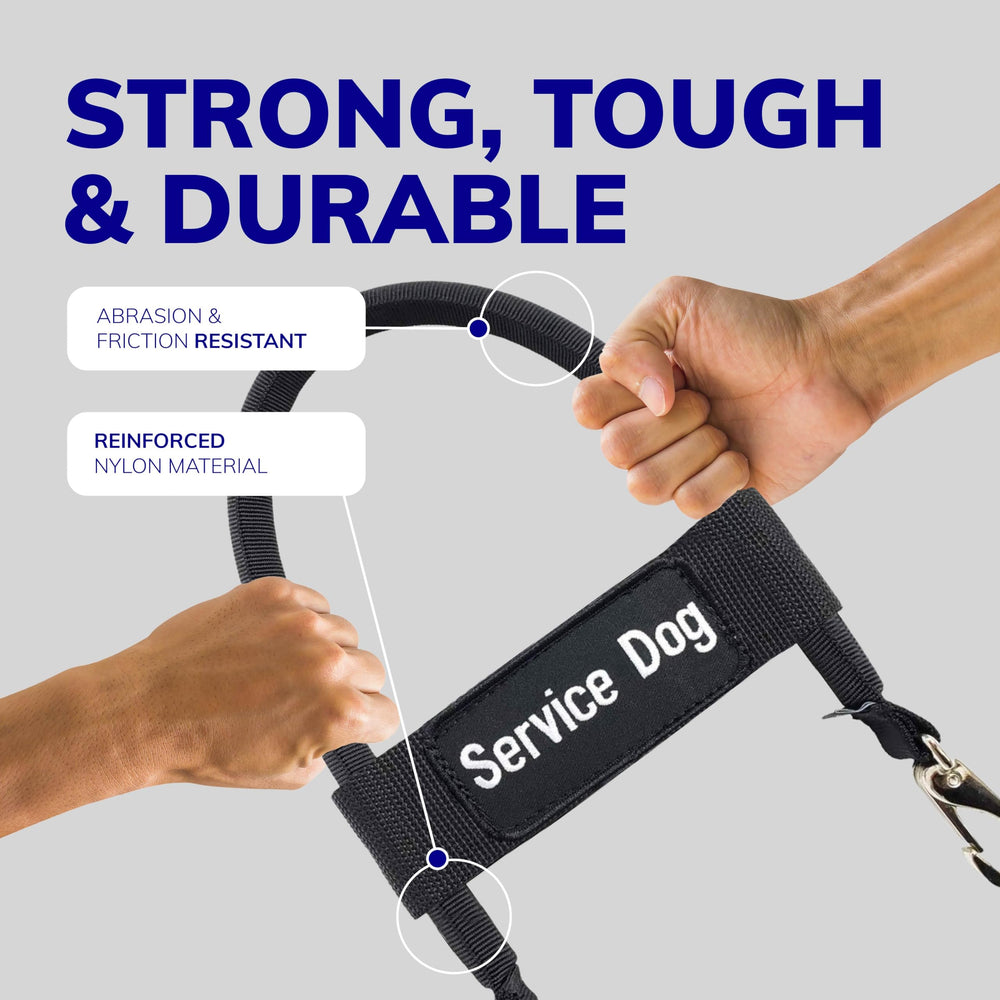 ActiveDogs heavy-duty clips securing the bridge handle during routines