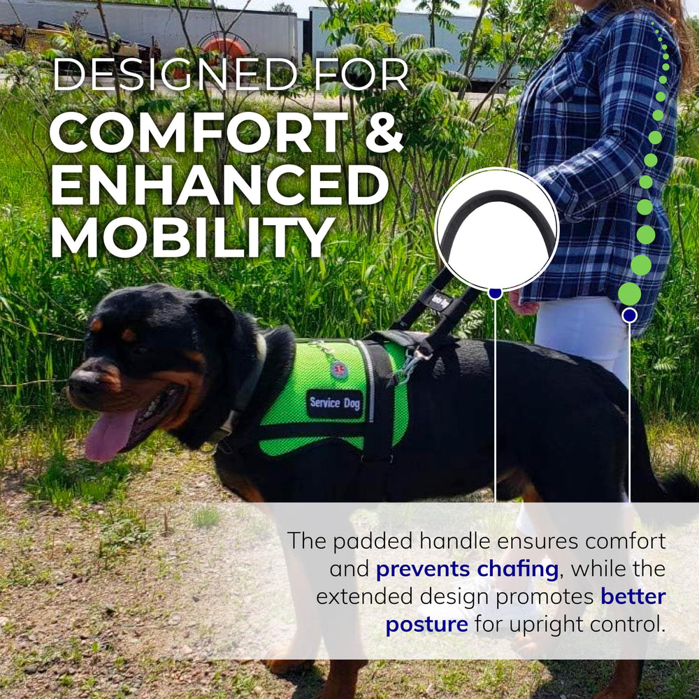 ActiveDogs bridge handle in use during daily service dog tasks
