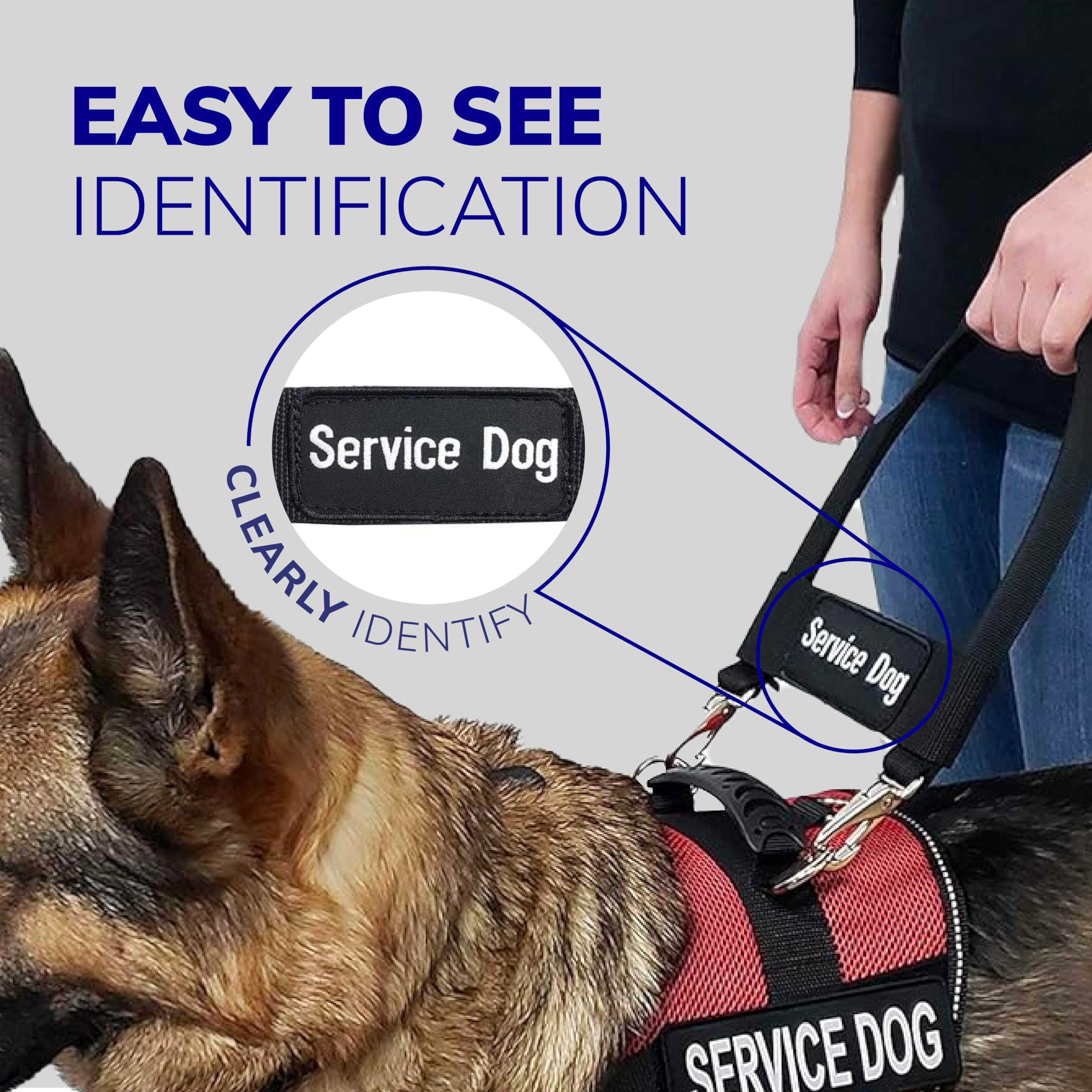 ActiveDogs 12-inch bridge handle showing quick-snap clips for easy attachment