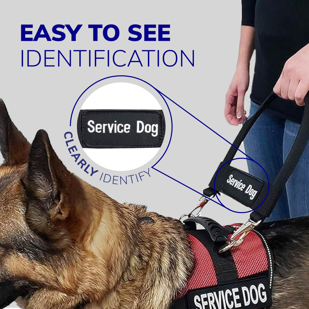 ActiveDogs 12-inch bridge handle showing quick-snap clips for easy attachment