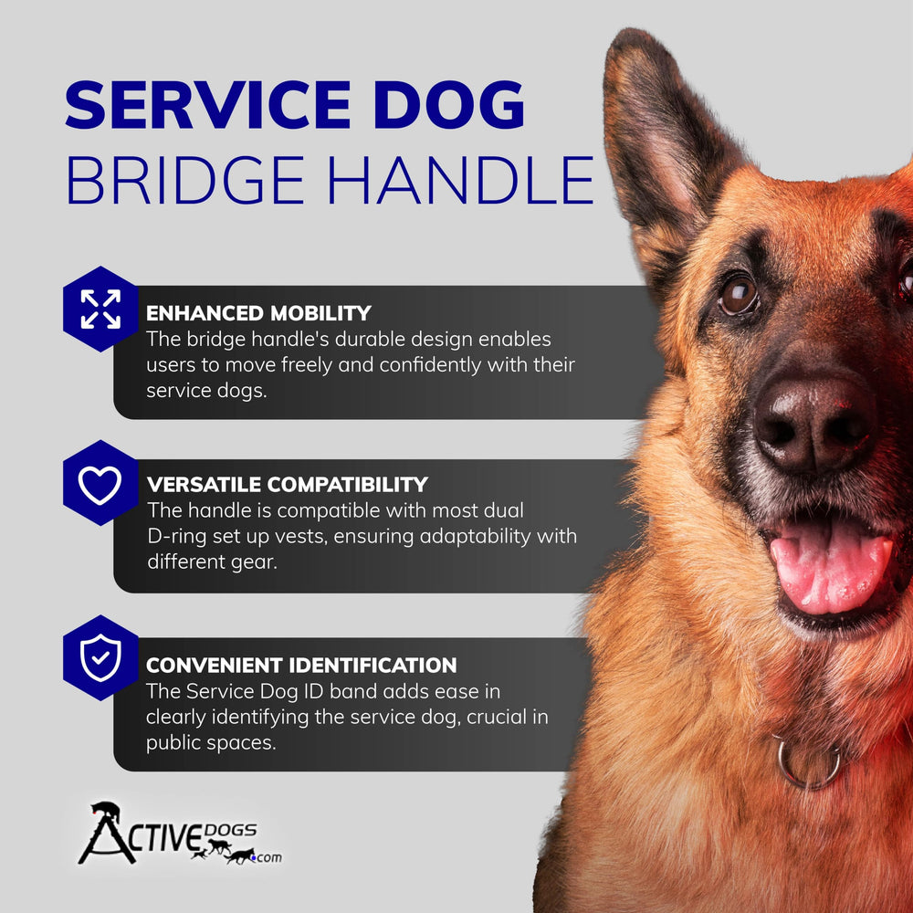 ActiveDogs bridge handle with ID band for quick service dog identification
