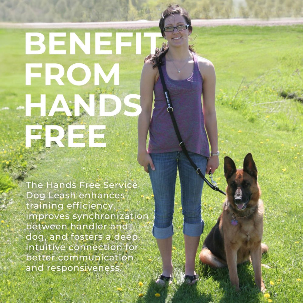 ActiveDogs hands-free chest-rest layout balances weight for all-day comfort.