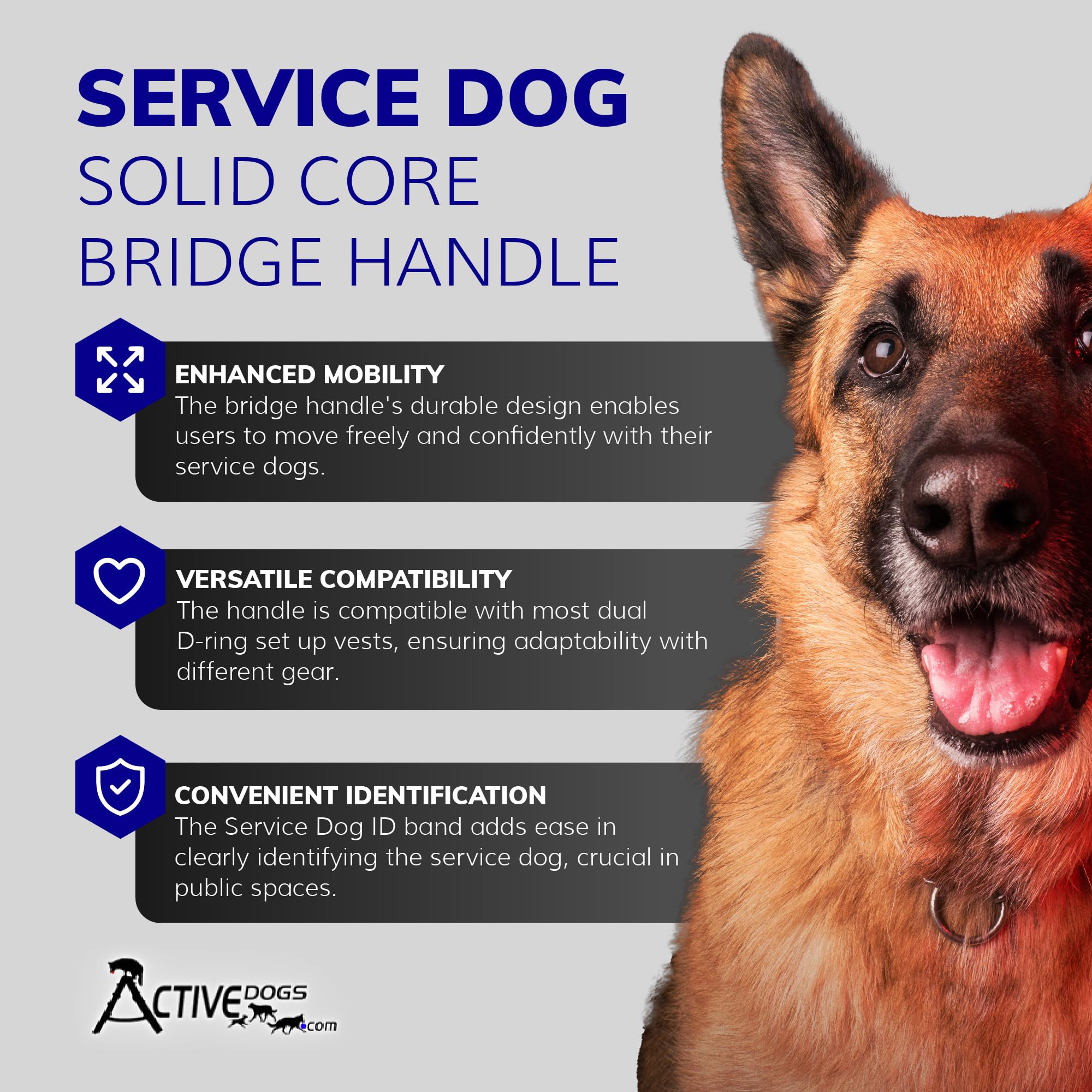 ActiveDogs rubber grip on handle enhances comfort during long training sessions