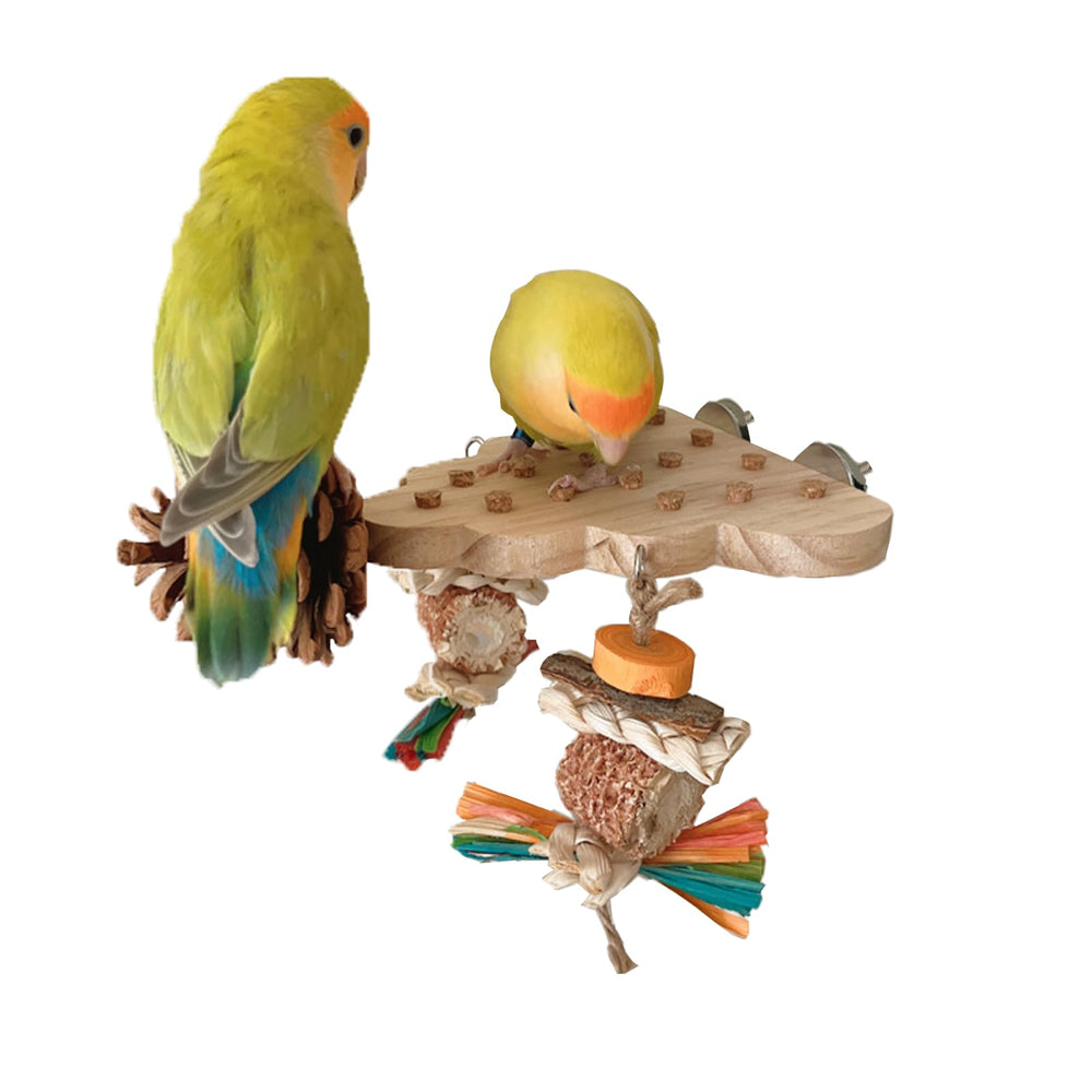 ACUDUDOMA parrot-toy-cage-setup secure cage placement and stable chewing.