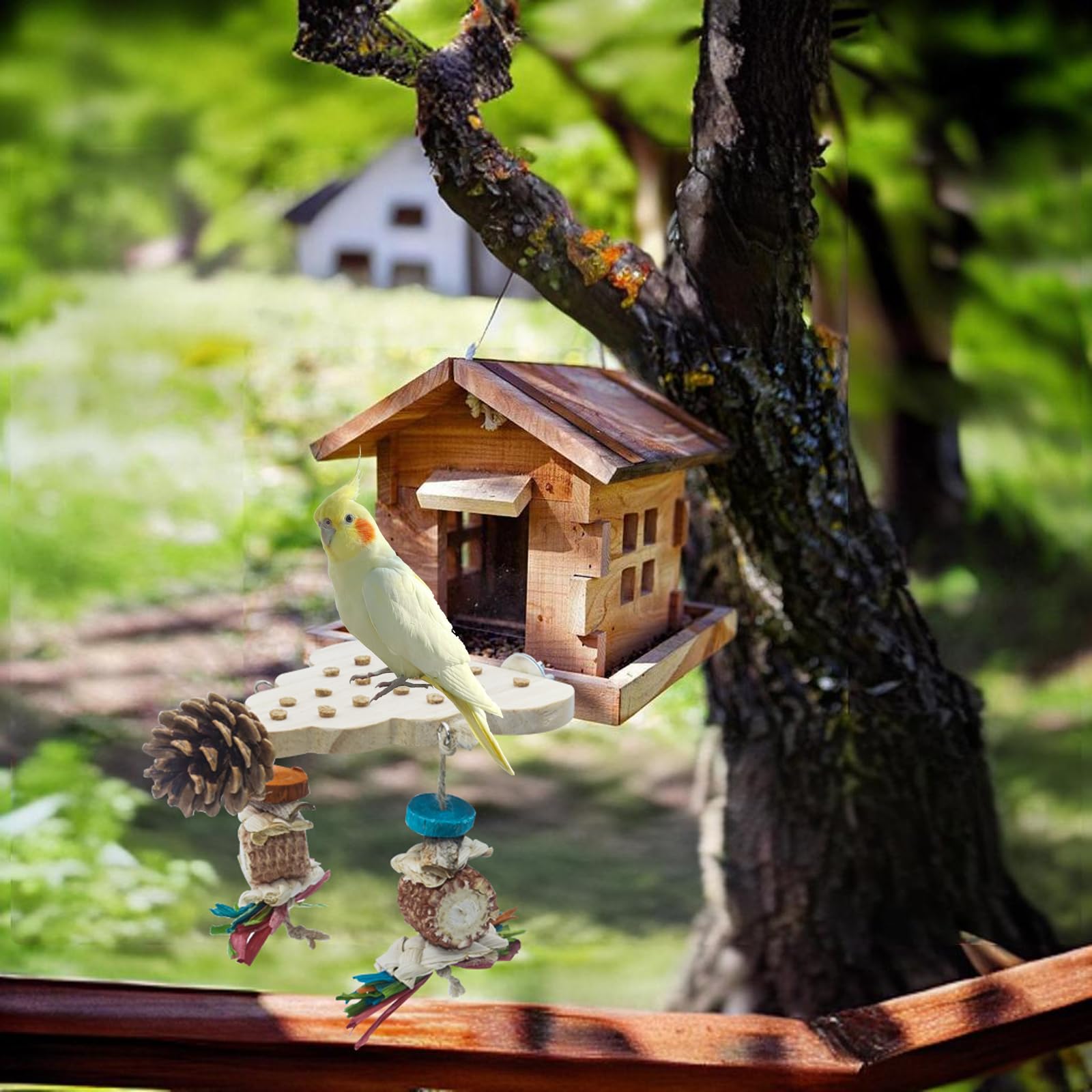 ACUDUDOMA parrot-toy-wooden-blocks sturdy blocks support two birds at once.