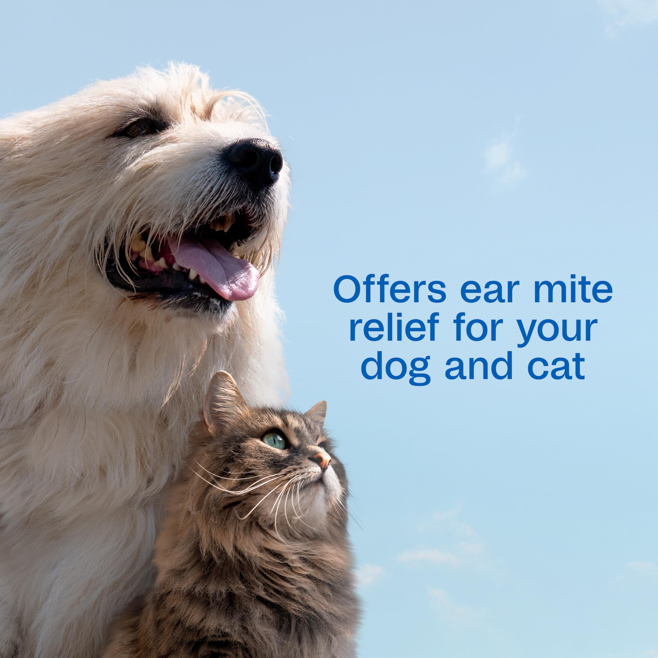 ADAMS Ear Mite Treatment with aloe and lanolin soothing formula