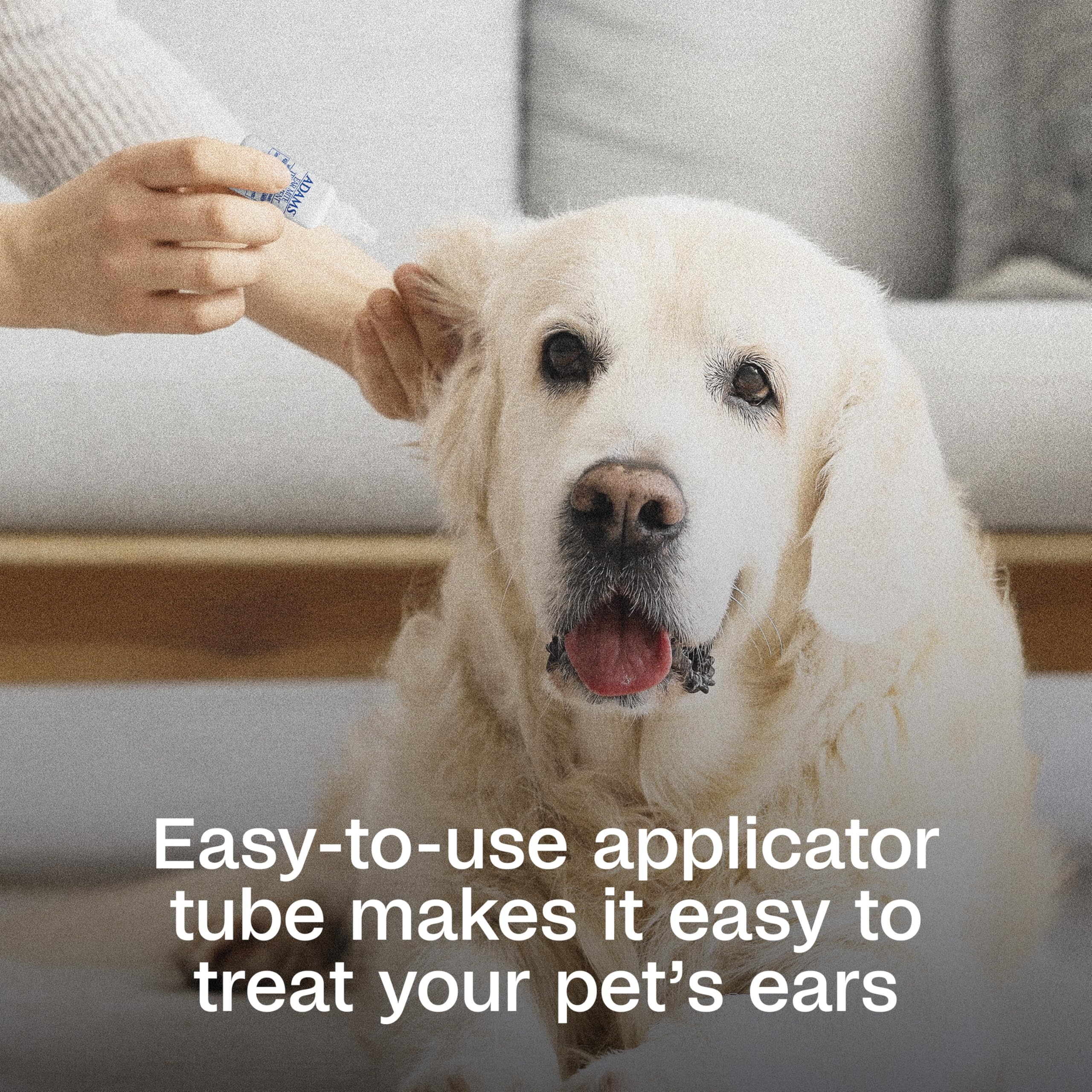ADAMS Ear Mite Treatment on a cat ear during application