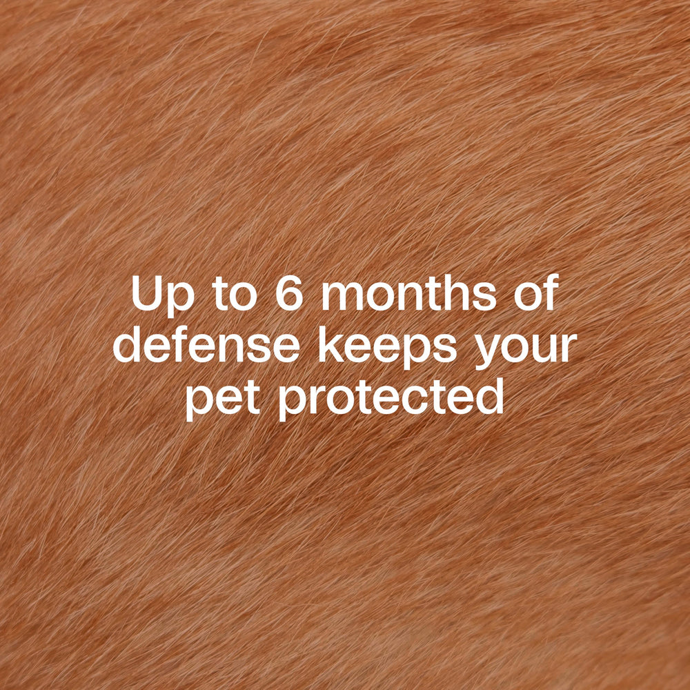 ADAMS Flea & Tick Collar Plus adjustable buckle demonstrates easy fit for all sizes.