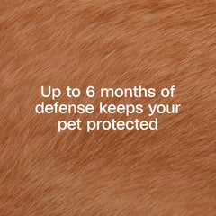 ADAMS Flea & Tick Collar Plus adjustable buckle demonstrates easy fit for all sizes.