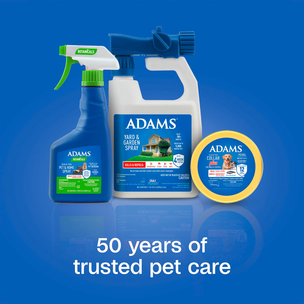 ADAMS Flea & Tick Collar Plus on a dog during an outdoor walk, signaling pest defense.