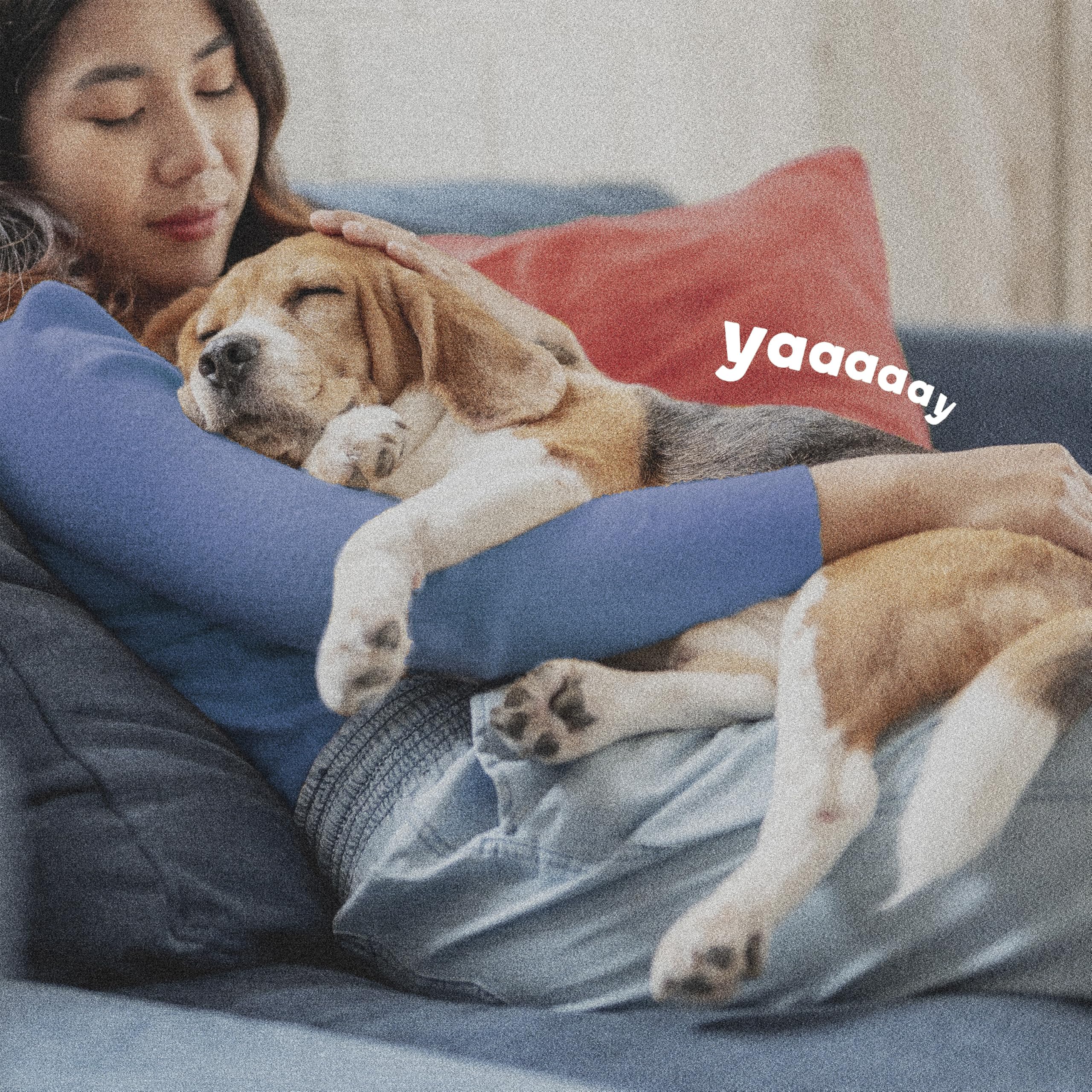 ADAMS extended-release technology image indicates up to six months of protection.