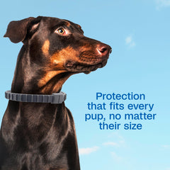 ADAMS Flea & Tick Collar Plus neck close-up highlights comfortable, adjustable design.