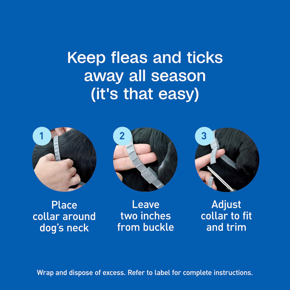 ADAMS collar appears with a mosquito-repellent badge in an outdoor scene.