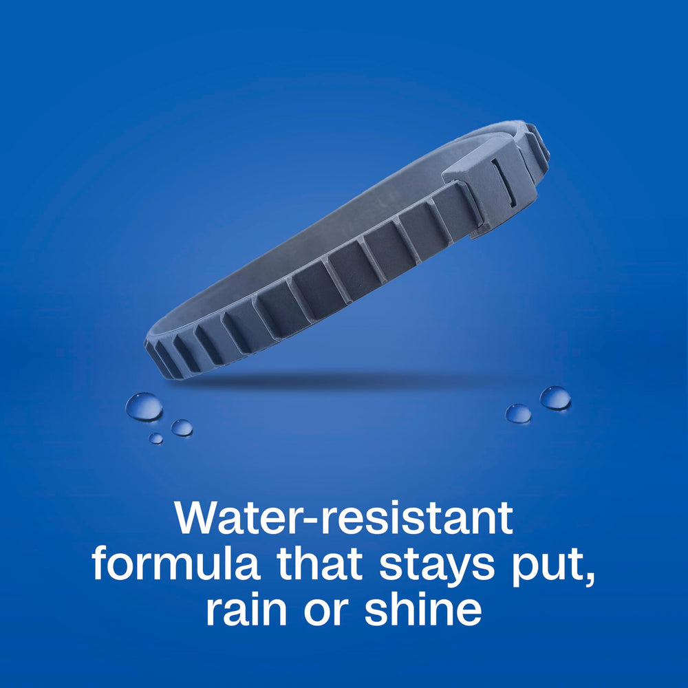 ADAMS Flea & Tick Collar Plus water resistant collar shown enduring rain or swim.