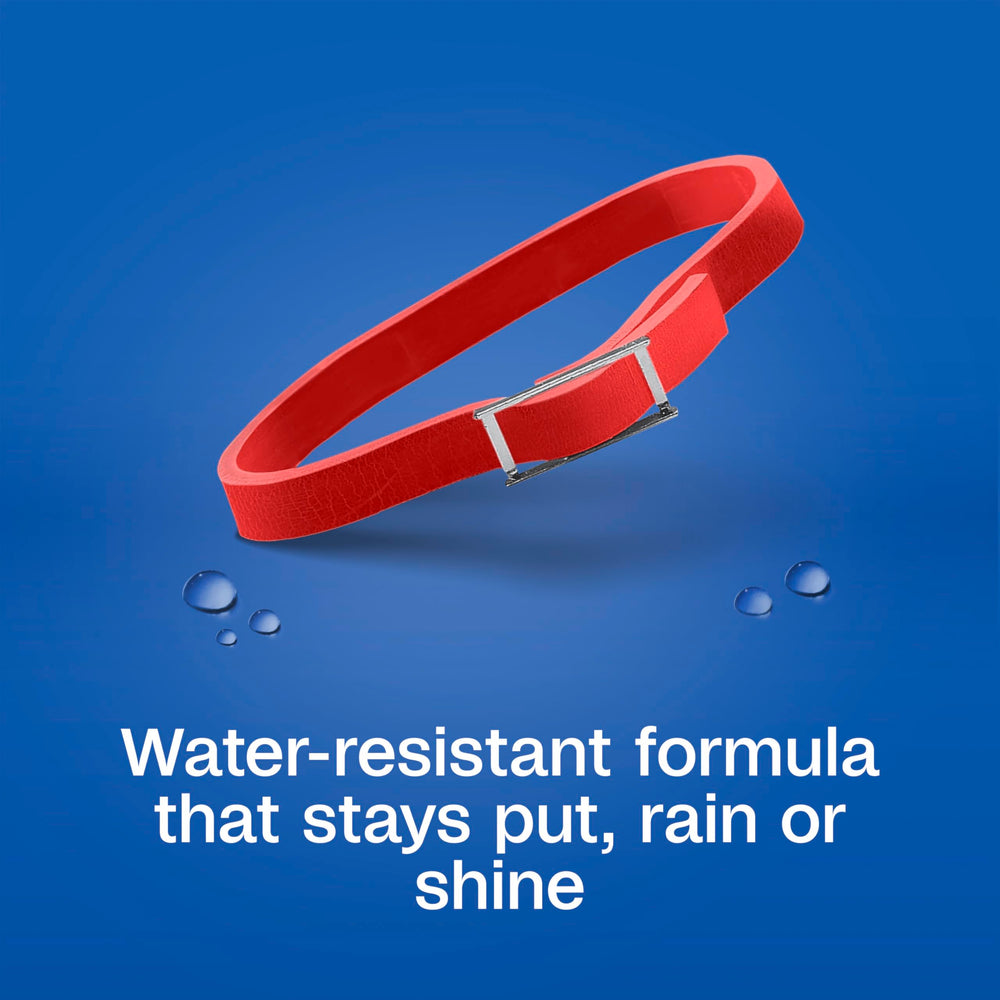 ADAMS Plus adjustable collar fitted securely for a comfortable small dog