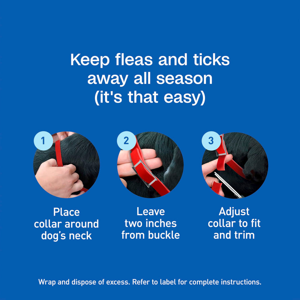 ADAMS Plus collar worn with a regular collar for convenience