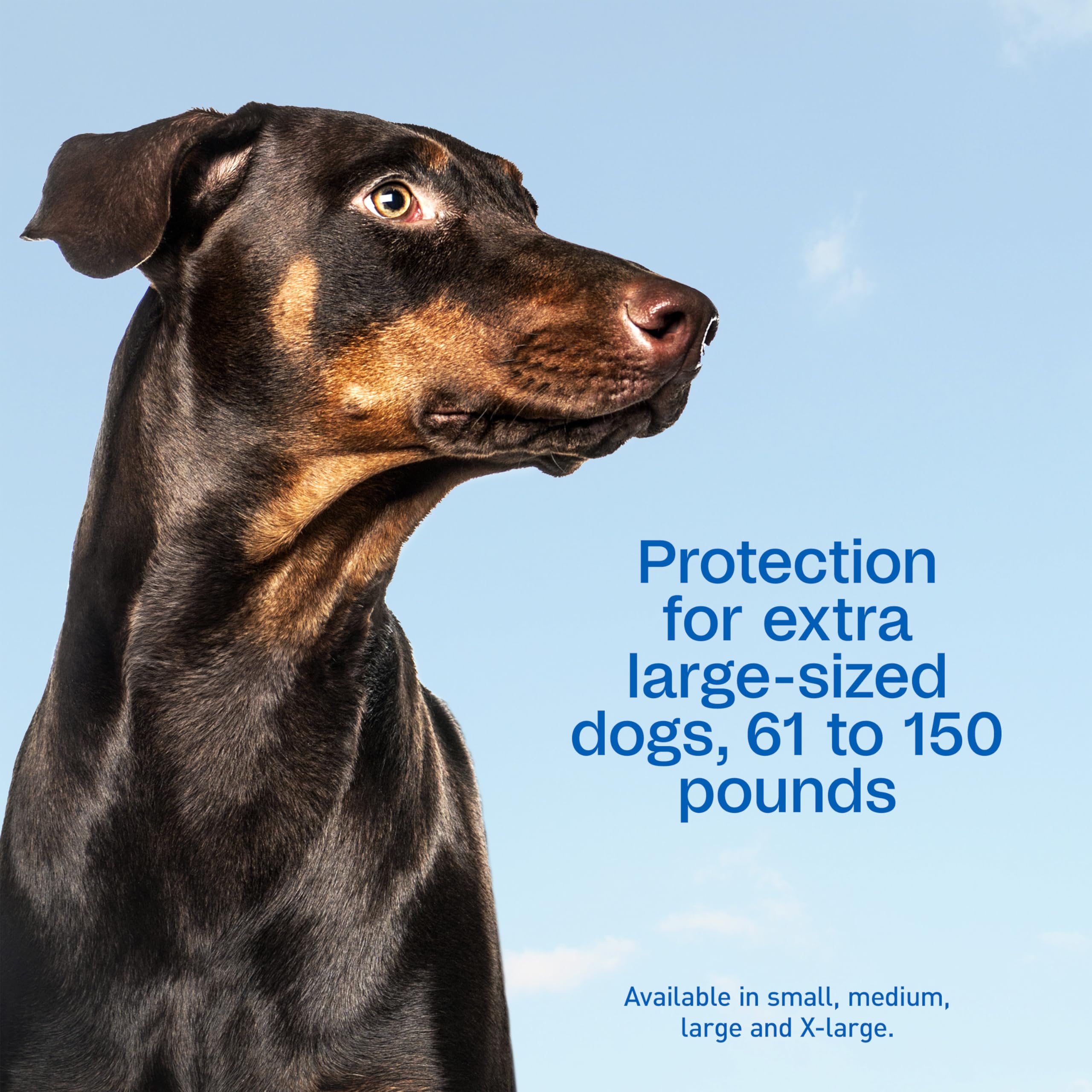 ADAMS Plus easy-to-use applicator glides through fur for efficient application.