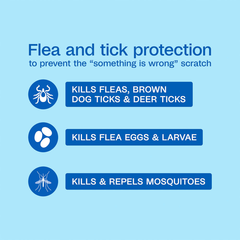 ADAMS Plus flea life-cycle image shows eggs and larvae being killed.