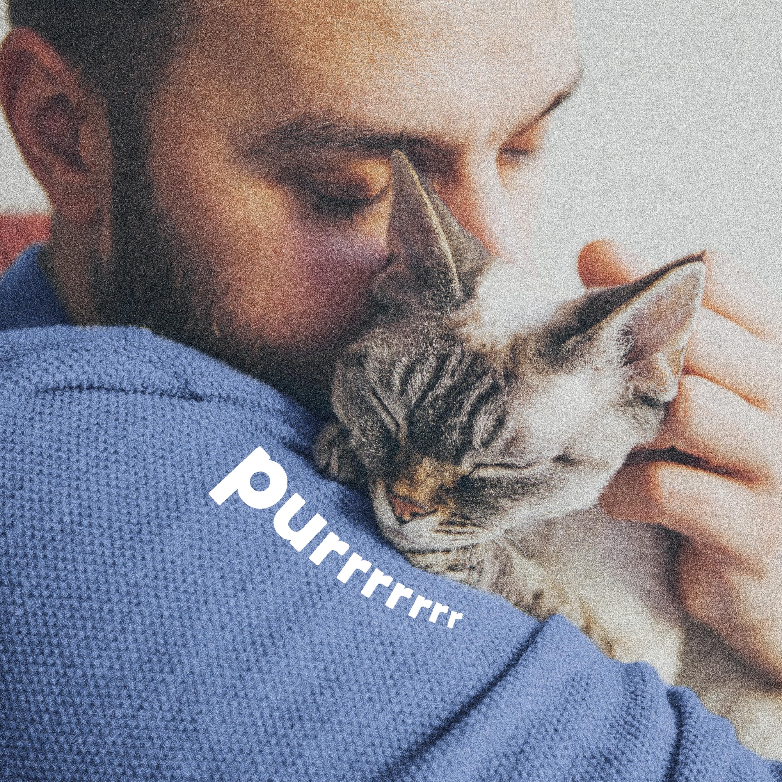 Adjustable fit of ADAMS Plus collar for cats 12 weeks and older