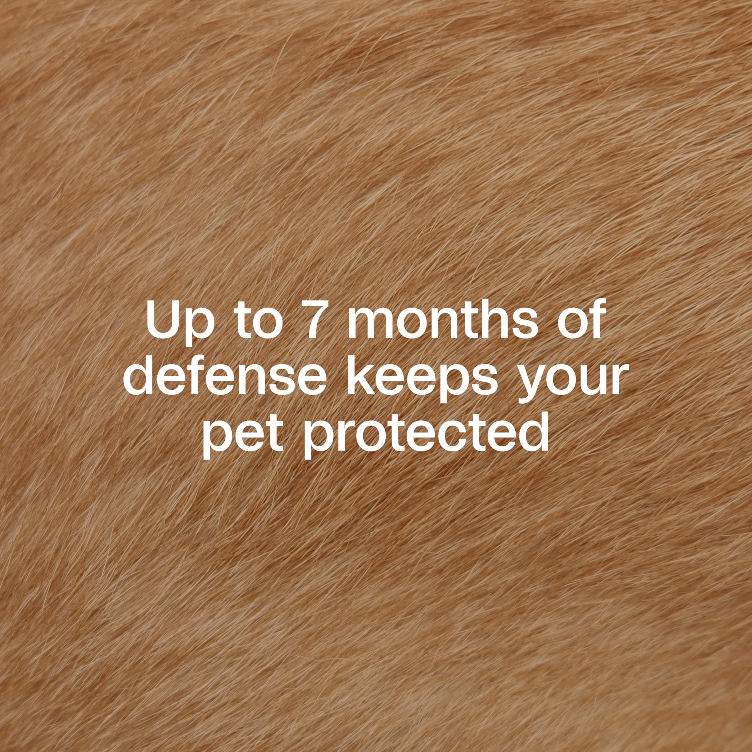ADAMS Plus collar provides extended-release protection across a dog's coat for up to seven months.