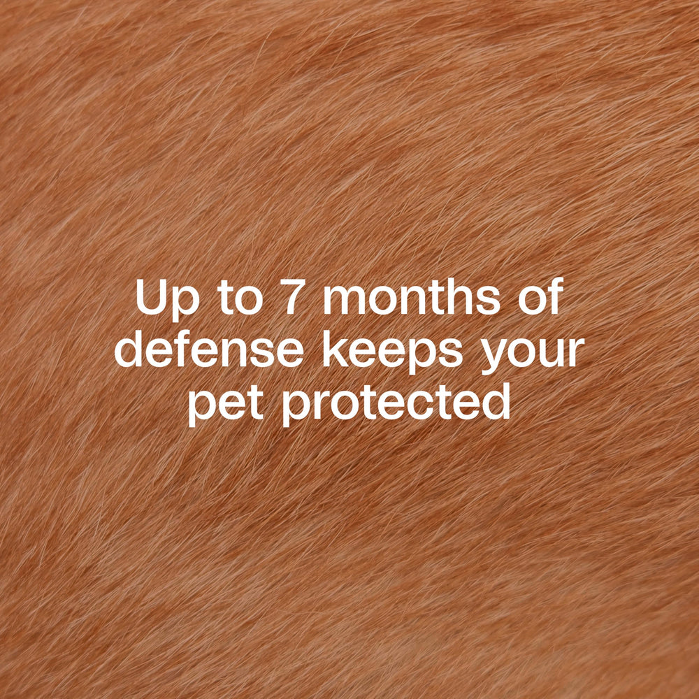 ADAMS Plus collar provides extended-release protection across a dog's coat for up to seven months.