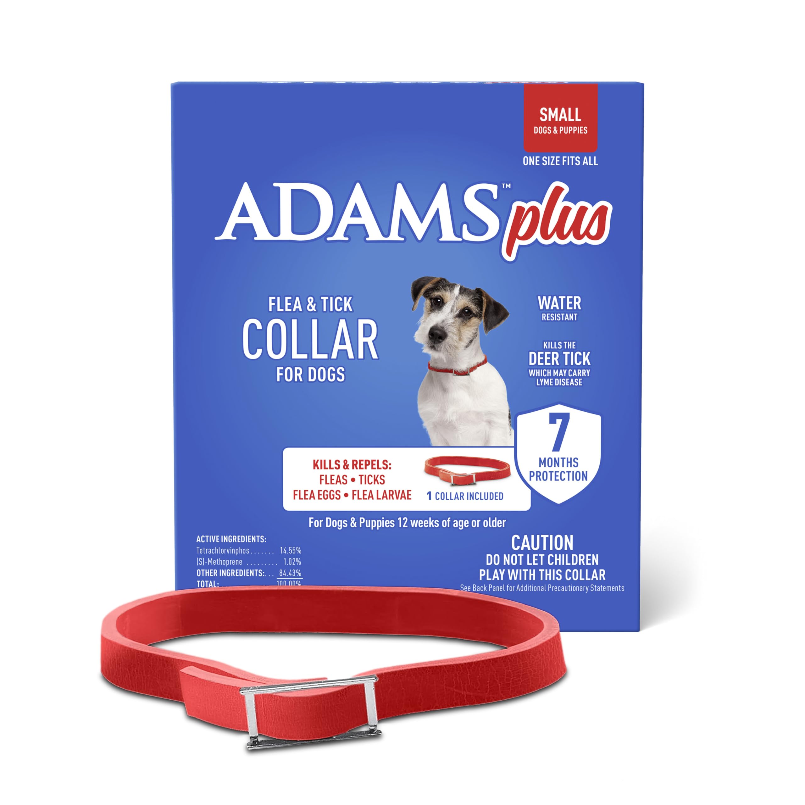 ADAMS Plus flea and tick collar on a small dog neck for steady protection