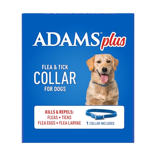 ADAMS Plus collar used during outdoor play for home and yard protection.