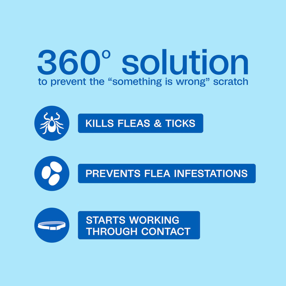 ADAMS Plus water resistant collar shown during rain or swim