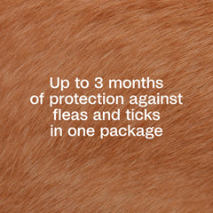 Adams Plus on-dog treatment kills fleas quickly on contact