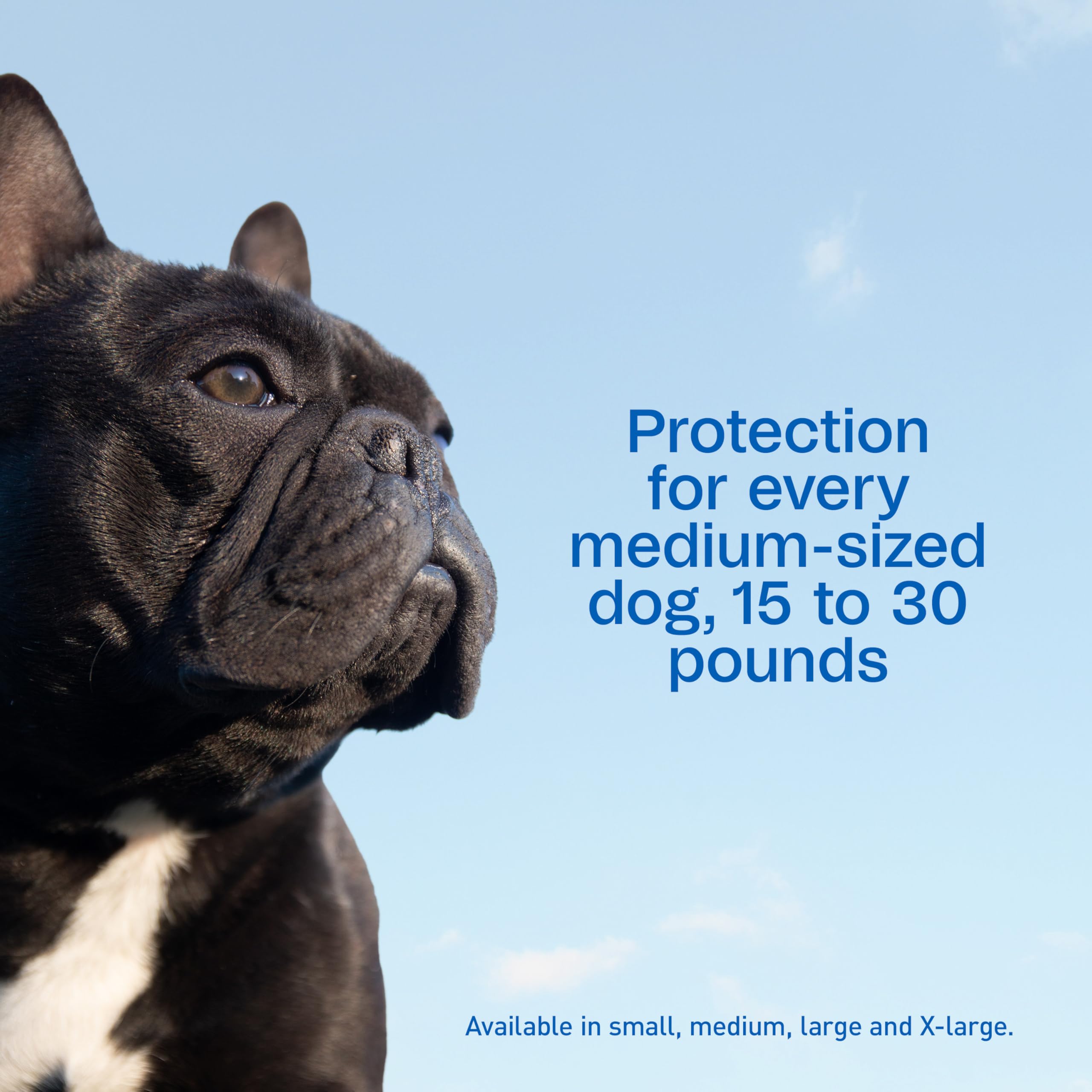 Adams Plus kills and reduces mosquitoes around dogs during play